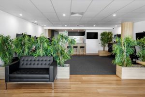Quality First Constructions transforms office space with a professional commercial fitout.